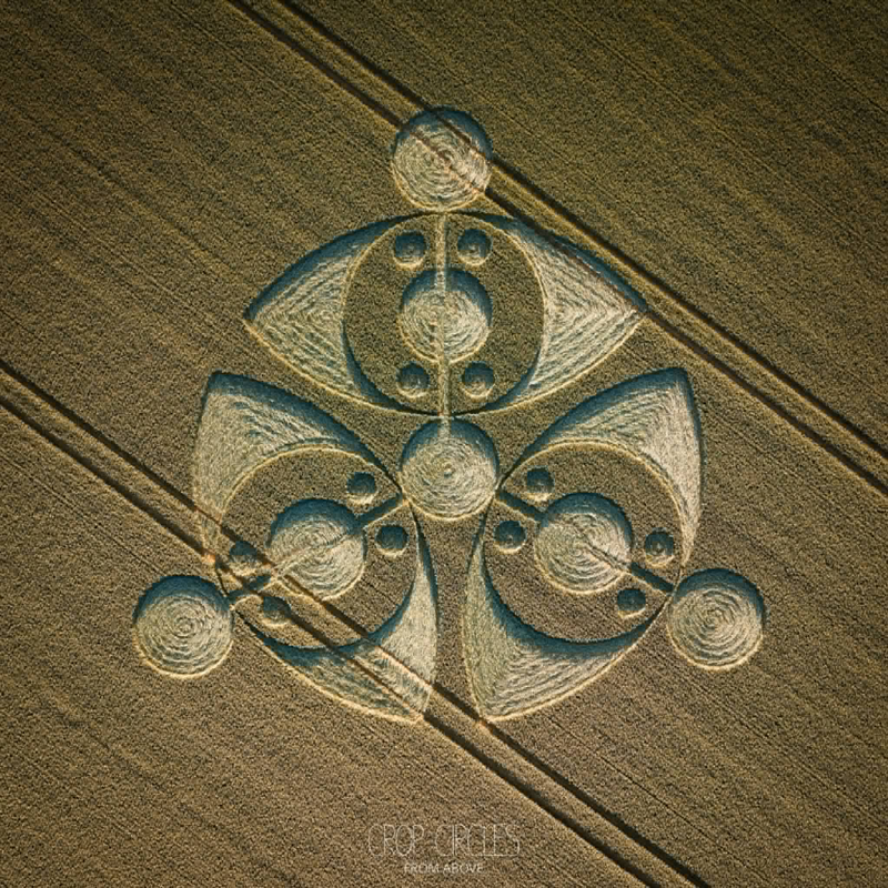 The First Broad Drive crop circle, near Wilton, Wiltshire — reported 15 June 2026